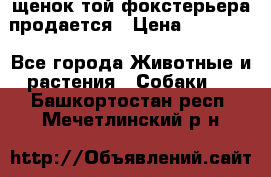 щенок той-фокстерьера продается › Цена ­ 25 000 - Все города Животные и растения » Собаки   . Башкортостан респ.,Мечетлинский р-н